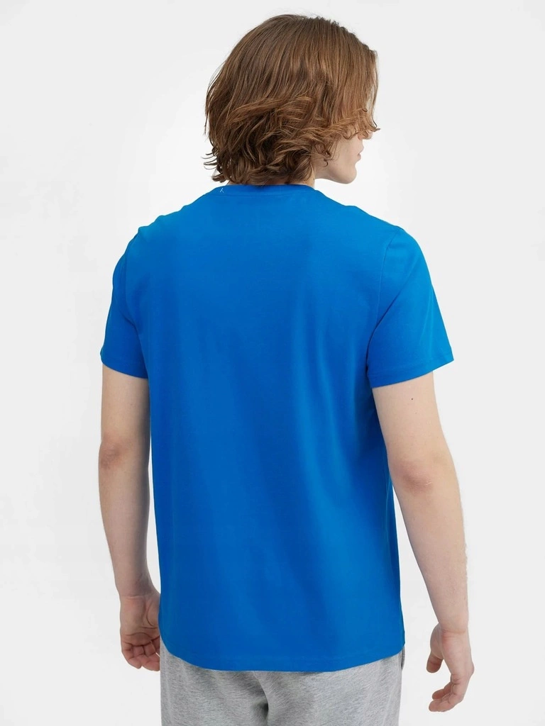 Koszulka męska 4F niebieski