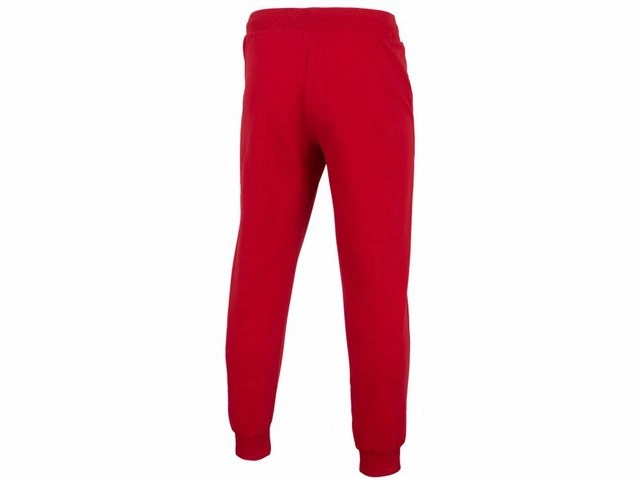 Spodnie męskie 4F czerwony