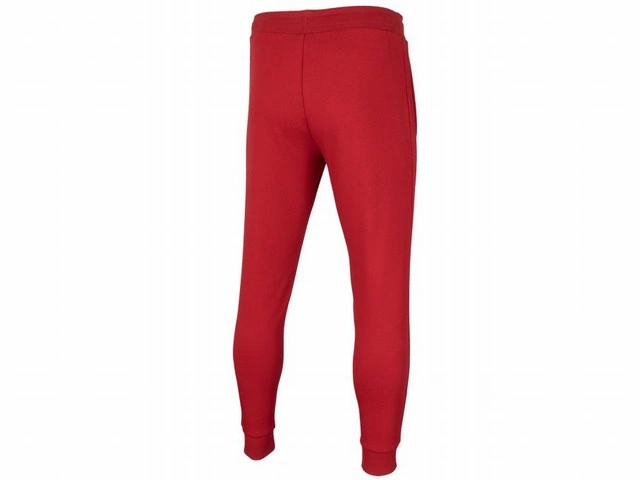 Spodnie męskie 4F czerwony
